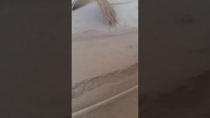 Как отодрать гудрон от пола.