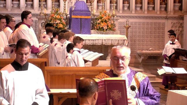 10:30am Solemn Mass at St Mary's Cathedral, Sydney - Second Sunday of Advent 8th December 2019 смотреть онлайн