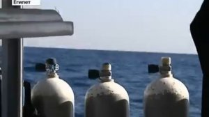 В Египте продолжается охота на акул людоедов