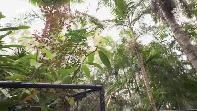 1 смотреть онлайн