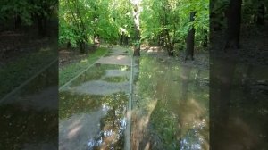 Воронцовский парк, Москва. Затопило