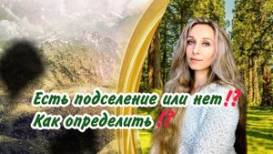 Есть подселение или нет⁉️ Как определить ⁉️.mp4