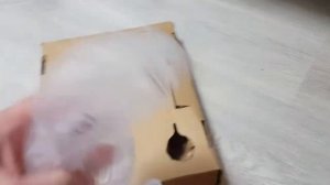 Philips LatteGo 3200 Series EP 3246/70 Automatic Coffee Machine