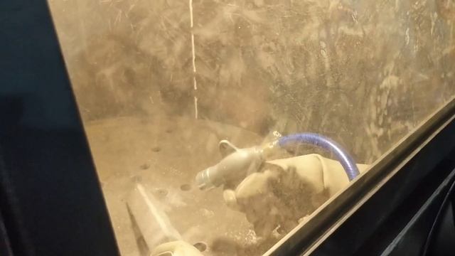 Пробная обработка детали в камере абразивоструйной очистки KOMAX смотреть онлайн