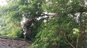 "Как правильно рубить топором". Урок от Данила.