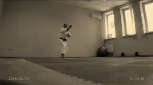 Кихон на 4 Дан. Подготовка. Михаил Шилов