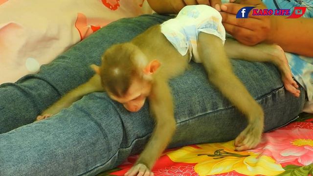 Cute Little Lisa Taking Nap Routine смотреть онлайн