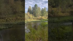 Оленьи ручьи, Екатеринбург 2022