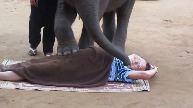 Таиланд..танцы слоников.Тайский массаж. смотреть онлайн