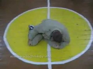 Система Кадочникова