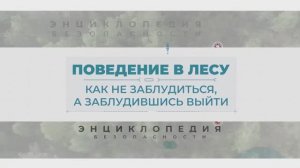 Поведение в лесу. Энциклопедия безопасности