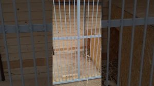 Вольер для овчарки (собаки)