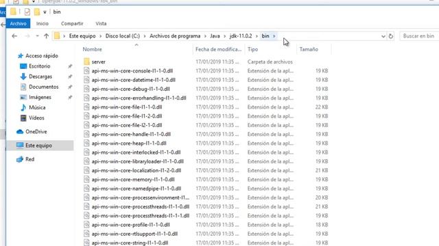 OpenJDK  - Install OpenJDK 11 in Windows
