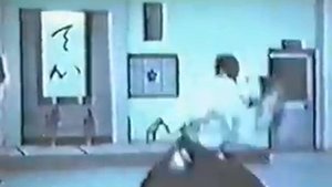 Steven Seagal - Randori