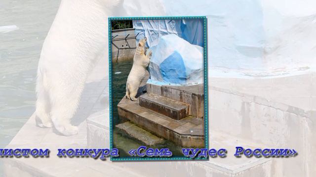 Новосибирский зоопарк, зарисовки. смотреть онлайн