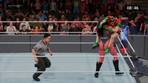 (REQUEST) MARVELvsDC: RED SHE-HULK VS ROBIN ( iron man match)