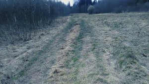 Одиночный пеший поход в весенний лес/ поиск рогов и грибов/ лесная прогулка