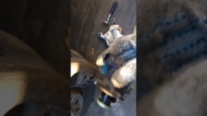 Пассат Б6 клапан турбины