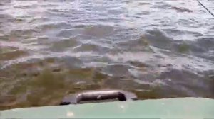 Honda 2,3 + гидрокрыло + Kolibri K280T