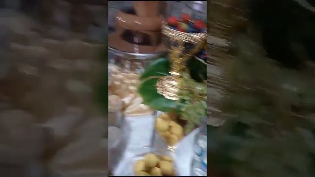 Шоколадный фонтан на свадьбе сына Джамбулата ЭРКЕНОВА / Замок Шато Эркен / Кабардино-Балкария