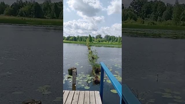 ВВолочёк р.Цна уровень воды 2 июля 2023 г. смотреть онлайн