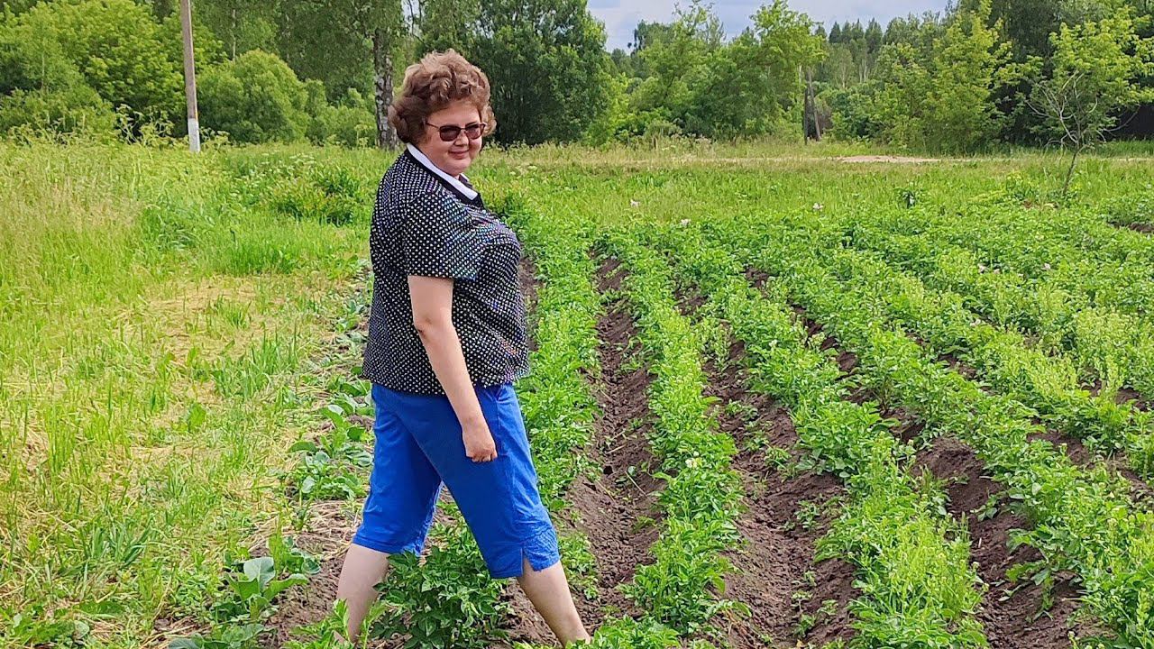 Сбрасываем килограммы и вяжем @vyazaniye_bez_granits смотреть онлайн