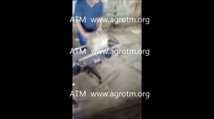 Пластинчатый транспортер.mp4