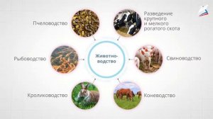 Растениеводство и животноводство в нашем крае
