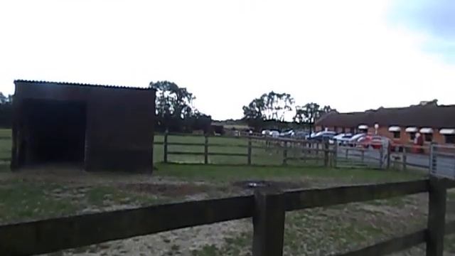 Mini zoo at Summy Miller motorcycle museum. Мини зоопарк возле музея мотоцыклов . смотреть онлайн