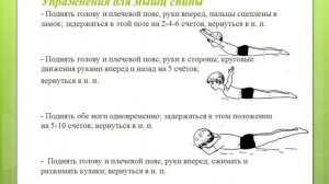 Укрепляем мышцы спины и пресса