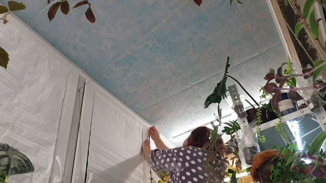 Цветочные будни. Опора на потолке. смотреть онлайн