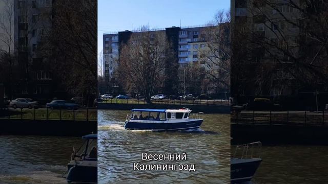 Весенний Калининград. Остров Канта. Видеопрогулка.