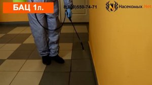 Уничтожение муравьев, кожеедов, клопов, тараканов средством БАЦ
