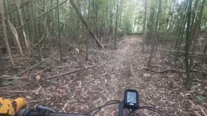 2022 Santa Cruz 5010 CC Review