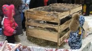 Ярмарка гастрономического фестиваля «Шадринский гусь»