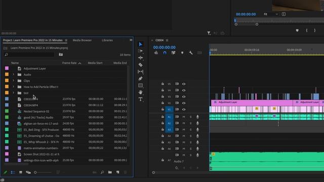 Remove Duplicate and Unused Clips in Premiere Pro INSTANTLY