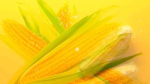 КУКУРУЗА ВРЕД ИЛИ ПОЛЬЗА? варёная кукуруза польза? кукуруза для фигуры, калорийная ли кукуруза?