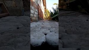 Дорожка из самодельного булыжника.