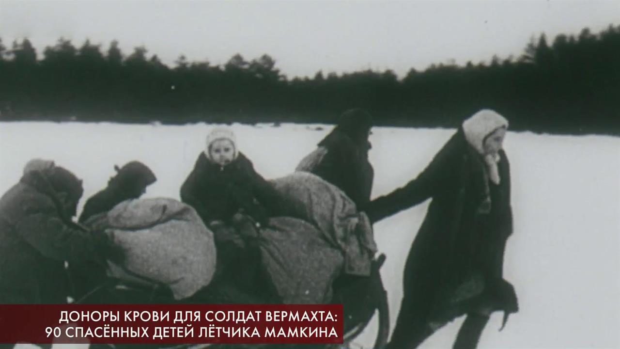 Мамкин александр петрович летчик презентация