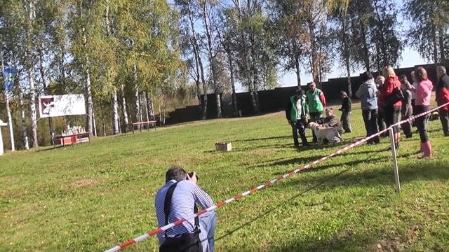 Выставка во Фрязево