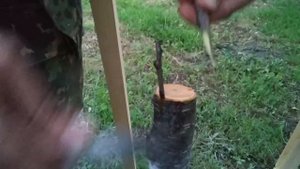 прививка летом абрикос / grafting the apricot in summer. apricot tree