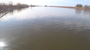 РЫБАЛКА В АСТРАХАНИ |2023| ОТОРВАЛСЯ ПО СУДАКУ! ЛОВЛЯ СУДАКА