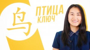 Ключевые иероглифы #26: 鸟 (птица)  УЧУ КИТАЙСКИЙ ЯЗЫК ✌ Школа Динары Мин ✌
