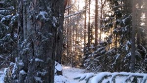 С Новым годом! Наилучшие пожелания из Усадьбы Мокшицы! Удачной охоты и приятного отдыха!