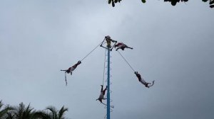 Отпуск в Мексике. Прогулка в Плайя дель Кармен. Отель Iberostar Tucan и Iberostar Quetzal.