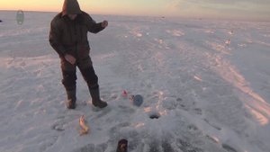 Рыбалка на закрытом озере Коргалжынский Заповедник