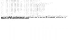 DevOps & SysAdmins: Idle AWS EC2 but high memory usage (2 Solutions!!)