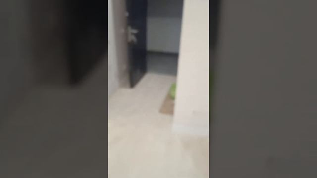 Ремонт квартир в Оренбурге не дорого качественно смотреть онлайн