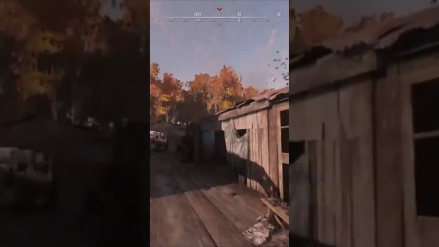 Джон Сина в #huntshowdown  (Приходите на стримы тут и на Твич https://www.twitch.tv/whoooooman)