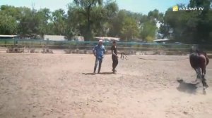 Асауды уйрету - родео кочевников